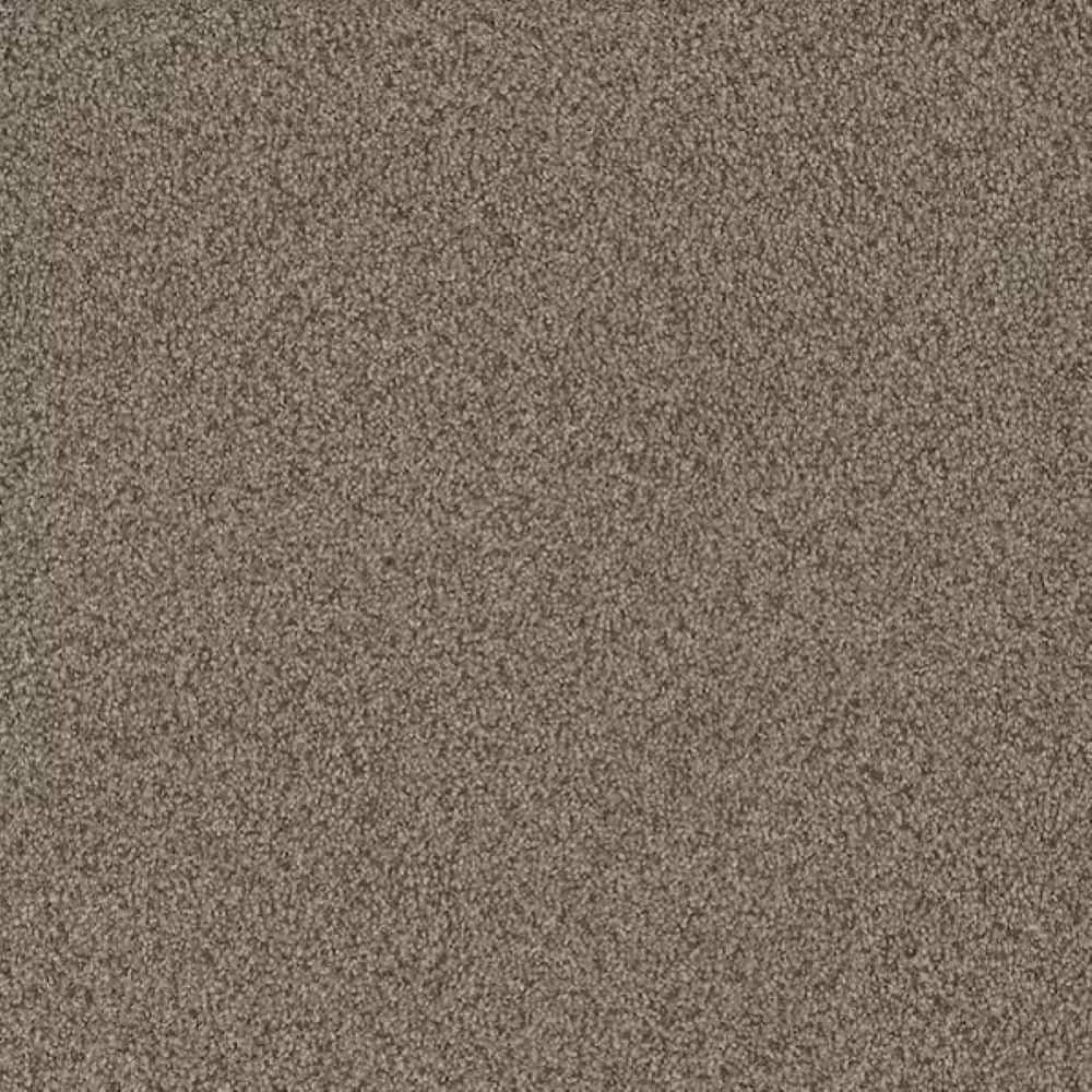 8 in. x 8 in. Texture Carpet Sample-Meringue I-Color Toasted price history on PriceWatchPro