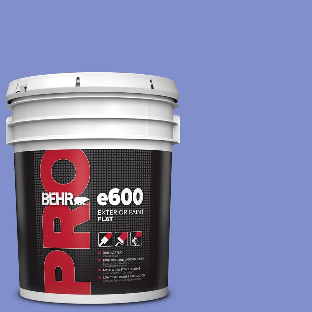 5 Gal. #P540-5 Pansy Garden Flat Exterior Paint price history on PriceWatchPro