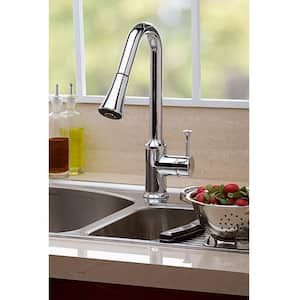 Pekoe Single-Handle Pull-Down Sprayer Kitchen Faucet 1.5 gpm in Polished Chrome