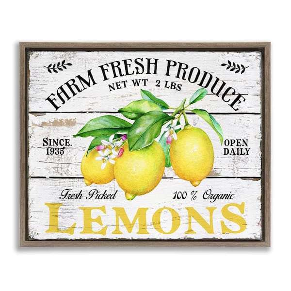 Stupell Industries Farm Fresh Produce Lemons by Creatif Belle Brown Floater Frame Food Graphic Art Print 17 in. x 21 in.