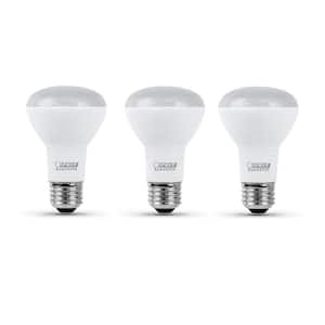 75-Watt Equivalent R20 Dimmable ENERGY STAR Recessed E26 Medium Base Flood LED Light Bulb, 3000K Bright White (3-Pack)