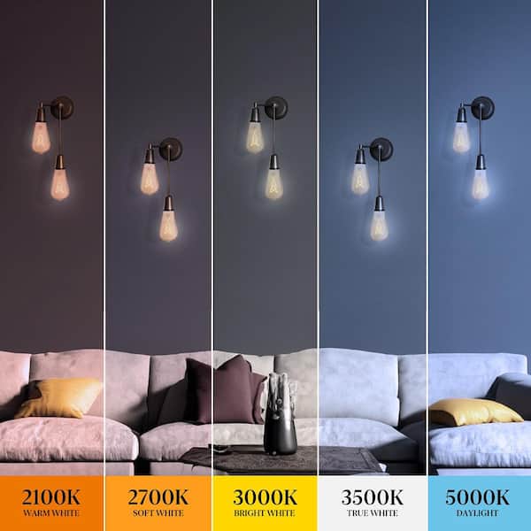 Feit Electric 60-Watt Equivalent ST19 Dimmable Knot Thin Feit Electric 60-Watt Equivalent ST19 Dimmable Knot Thin