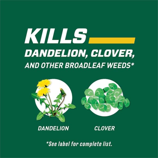 Weed B gon 32 fl. oz. Lawn Weed Killer Concentrate Kills Clover and Dandelion Down to the Roots