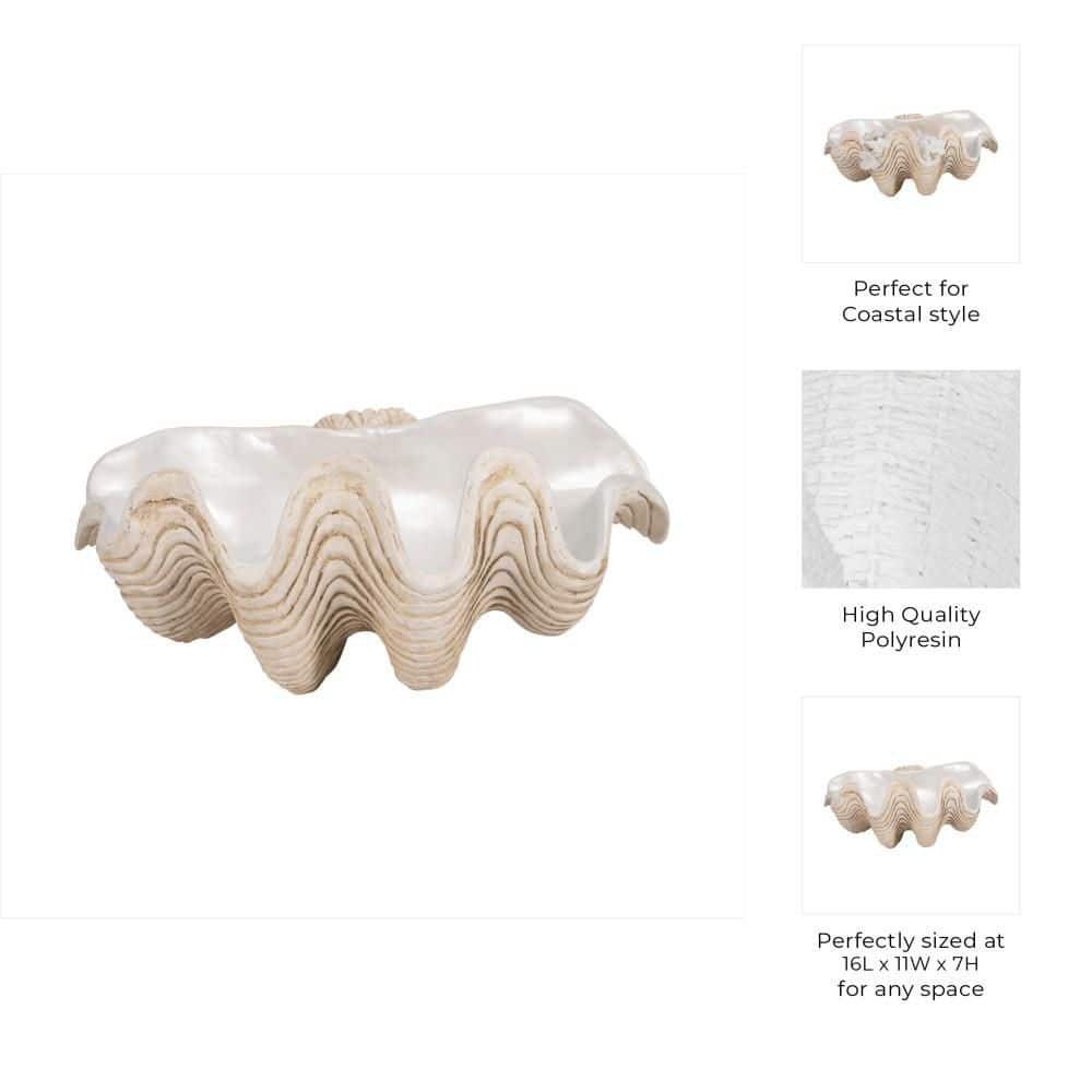 Ivory 16 in. x 11 in. Resin Coastal Pearlized Clam Shell Decorative Bowl