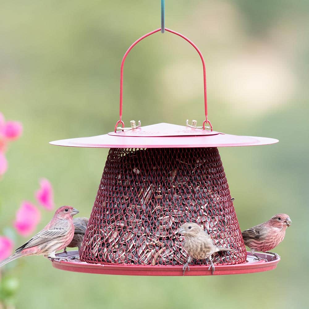 Red Metal Hanging Bird Feeder with Mesh Design
