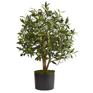 Indoor 29 in. Olive Artificial Tree