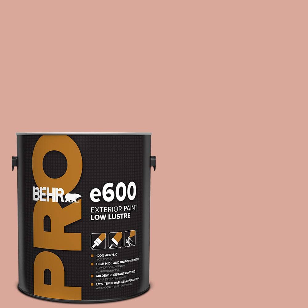 1 gal. #PMD-70 Cottage Rose Low Luster Exterior Paint price history on PriceWatchPro