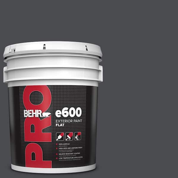 5 gal. #N500-7 Night Club Flat Exterior Paint