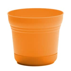 Saturn 9.75 in. L x 9.75 in. W x 8.5 in. H 6 qt. Mango Indoor/Outdoor Plastic Planter with Saucer