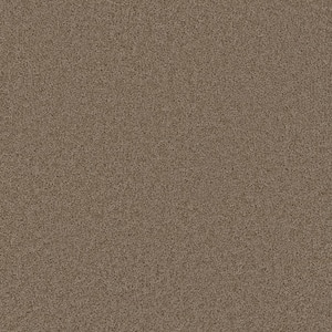 Added Value - Reward - Beige 24 oz. SD Polyester Texture Installed Carpet