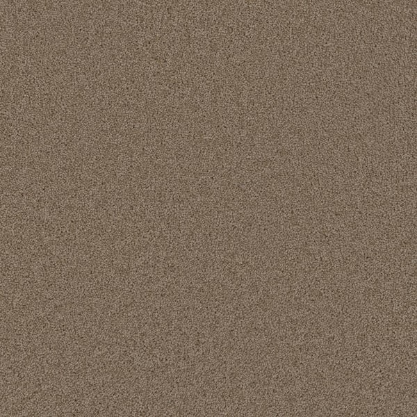 TrafficMaster Added Value - Reward - Beige 24 oz. SD Polyester Texture Installed Carpet