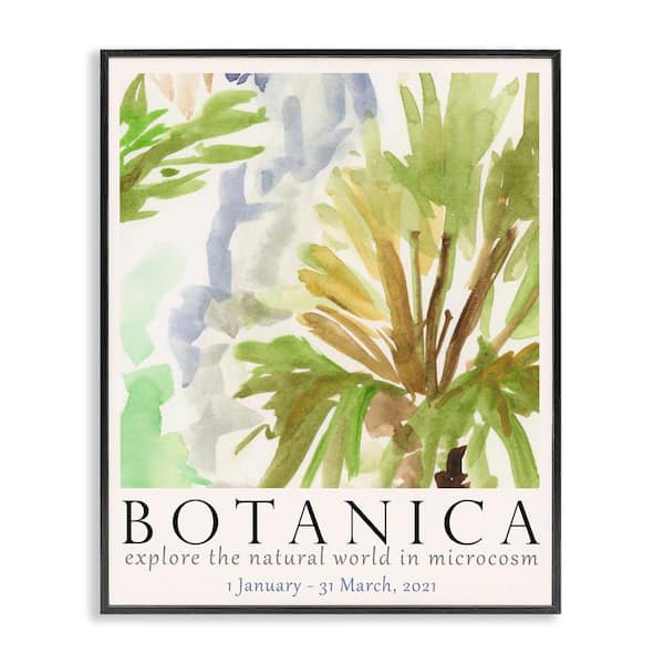 Stupell Industries Botanica Museum Poster by June Erica Vess Black Framed Nature Giclee Art Print 30 in. x 24 in.