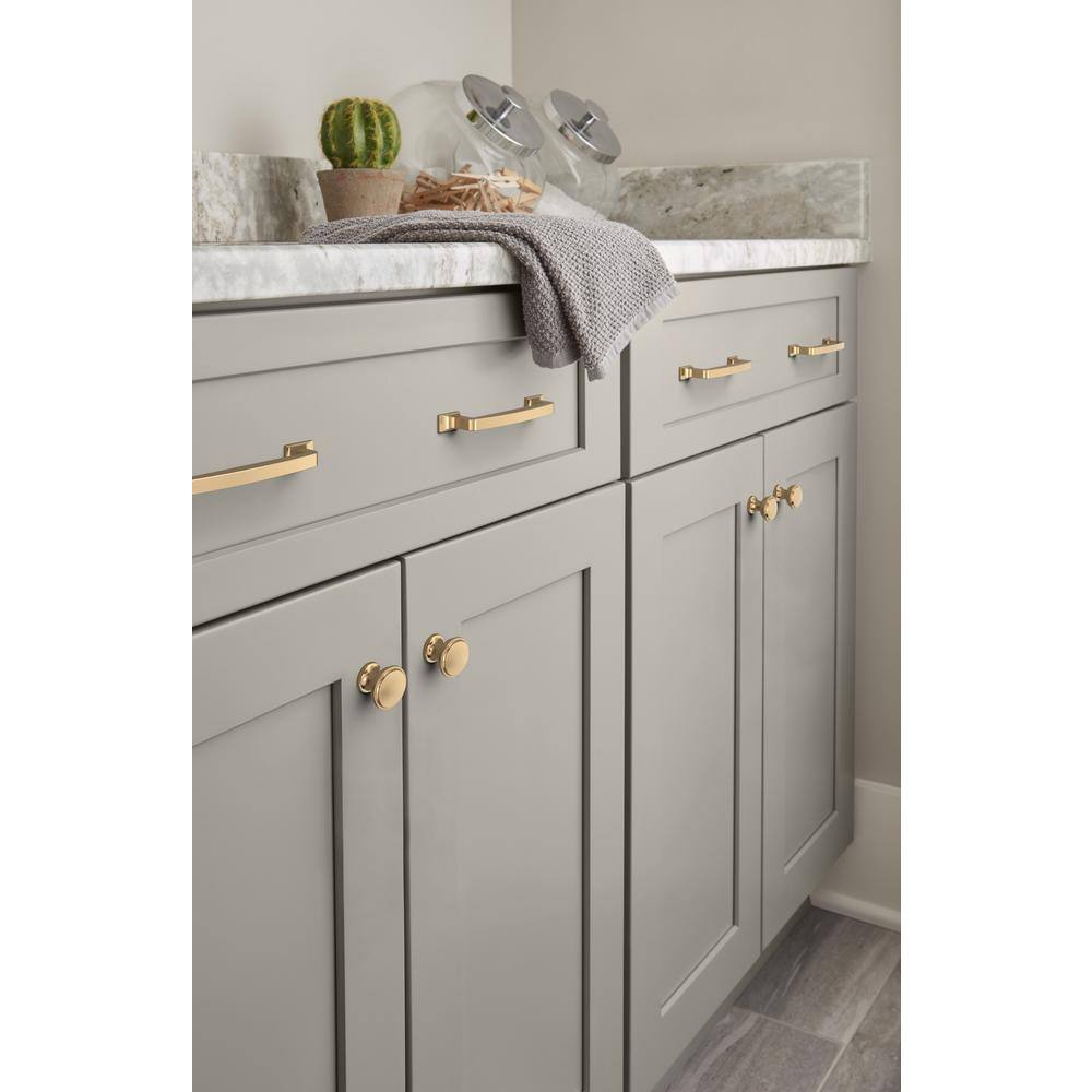 Champagne Bronze 3-3/4" Cabinet Drawer Pull with Mounting Hardware