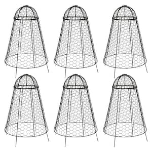 Iron Mesh Cloche Plant Protector with Removable Cover-6-Pack
