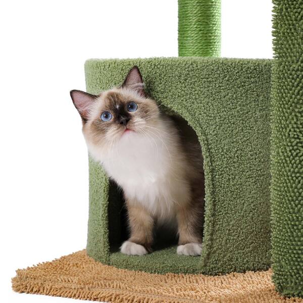 Foobrues Cactus Cat Tree Hammock Perch Condo PSL-23170789 The