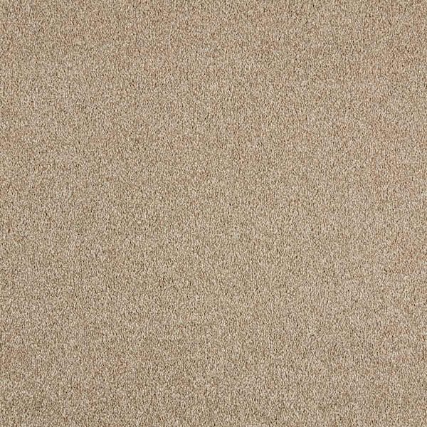 Tides Edge - Sahara Beige 50 oz. Triexta PET Texture Installed CarpetCarpet