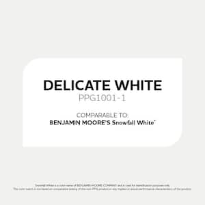 Delicate White PPG1001-1 Paint - Comparable to BENJAMIN MOORE'S Snowfall White