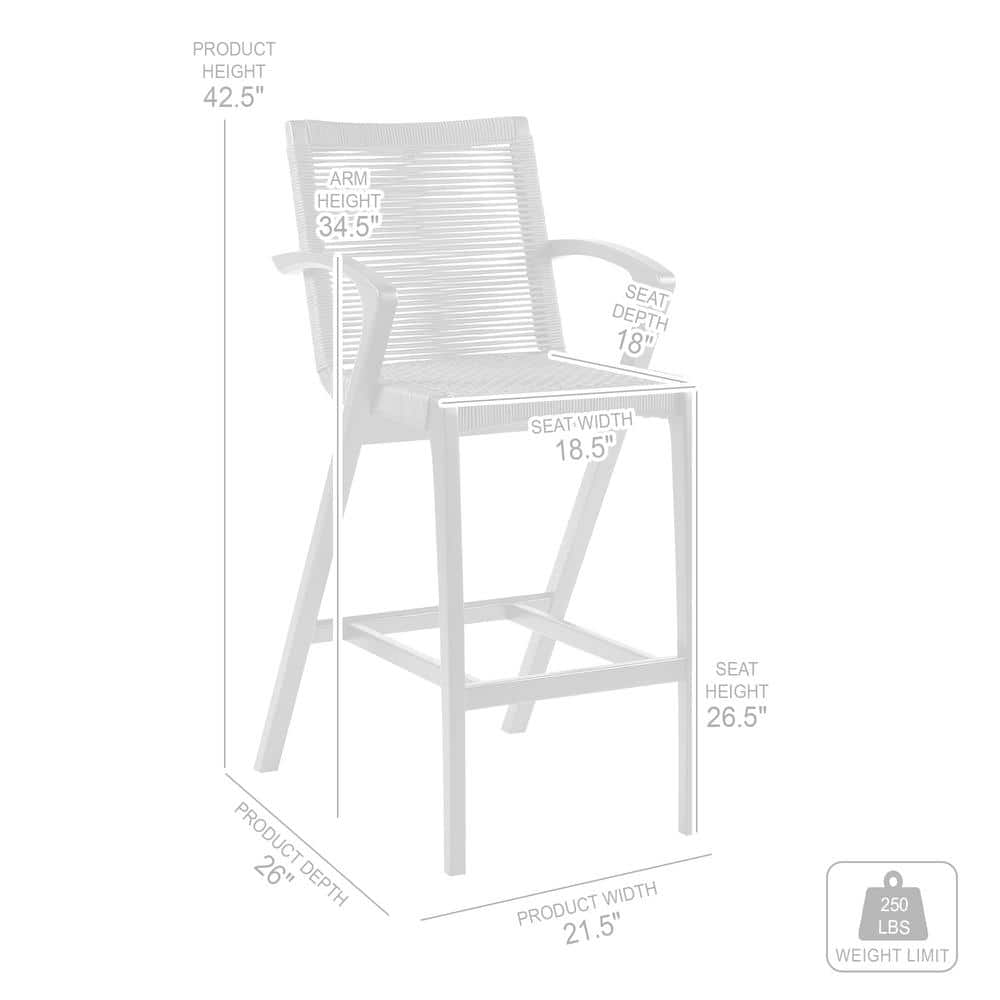 Nabila 42.5" Dark Eucalyptus and Grey Rope Outdoor Chair