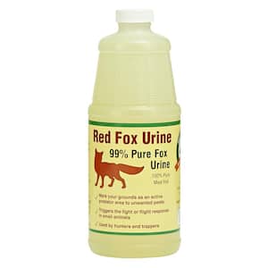 Fox Urine by Bare Ground