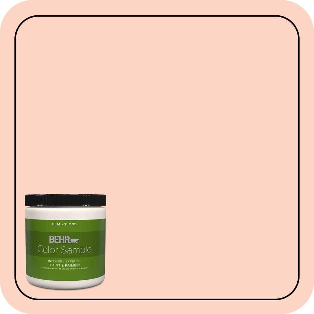 8 oz. #210A-2 Coral Dune Semi-Gloss Interior/Exterior Paint & Primer Color Sample price history on PriceWatchPro