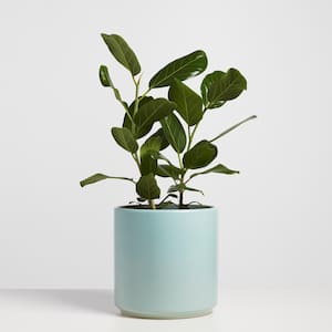 5 in. Light Blue Ceramic Planters (5 in. to 12 in. ) (Set of 2)