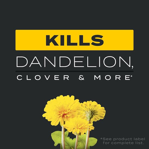 Turf Builder 20 lbs. 4,000 sq. ft. Triple Action, Weed Killer and Preventer Plus Lawn Fertilizer