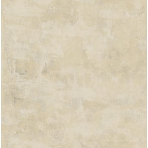 Artisan Plaster Natural Neutral Texture Wallpaper