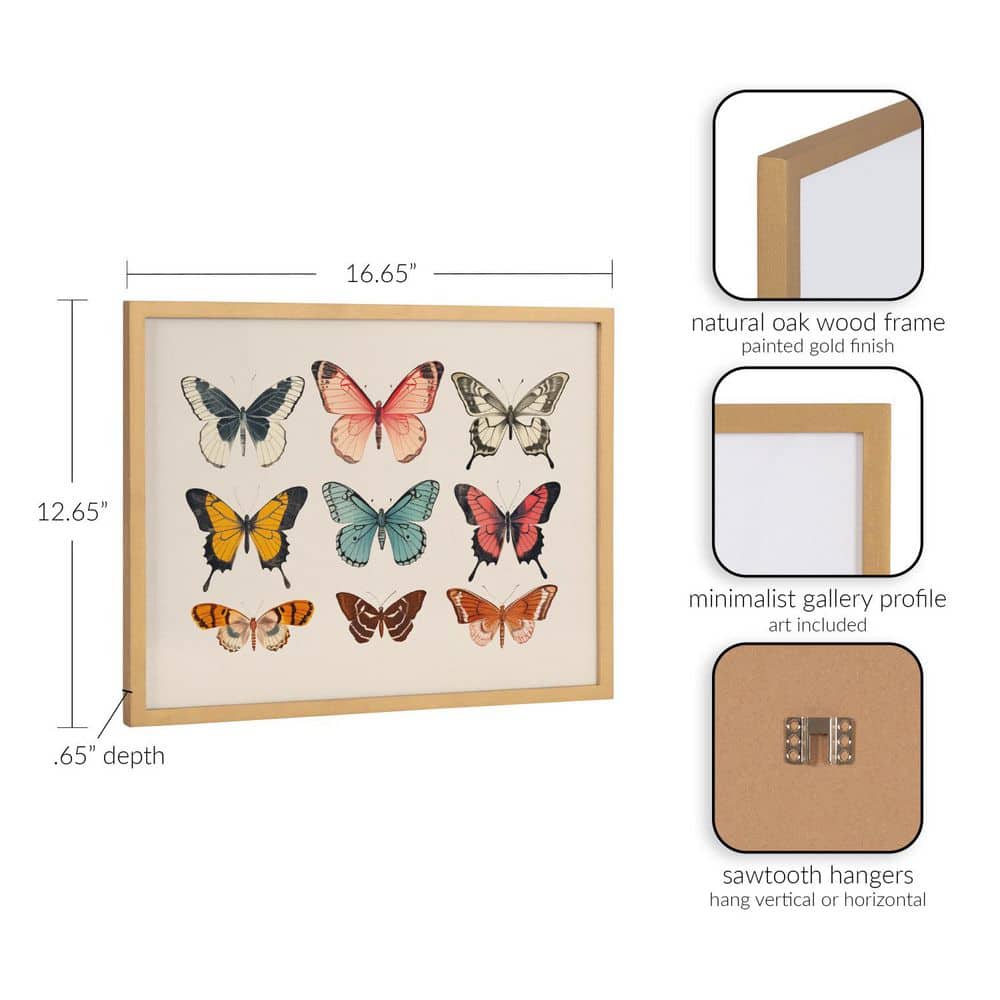 Gold Framed Vintage Style Butterfly Print Wall Art, 16 x 12
