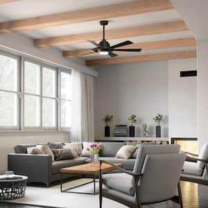 Iras 52 in. Integrated LED Indoor/Outdoor Distressed Black Downrod Mount Ceiling Fan with Light and Switch