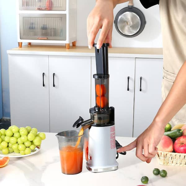 VEVOR Masticating Juicer, Cold Press Juicer Machine,1.3 in. Feed Chute Slow  Juicer, with High Juice Yield, Grey MINIZKX100W4EGLO1V1 - The Home Depot