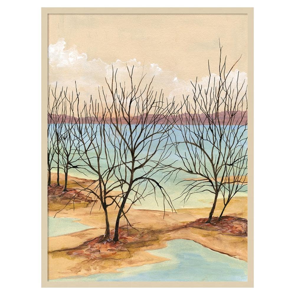 Quiet Cove II Framed Scenic Landscape Graphic Art Print