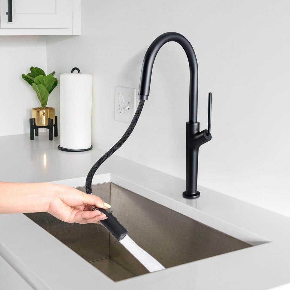 Matte Black Single Handle High Arc Kitchen Faucet with Pull-out Spray