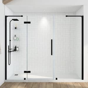 Tampa 85 3/8 in. W x 72 in. H Pivot Frameless Shower Door in Black With Shelves