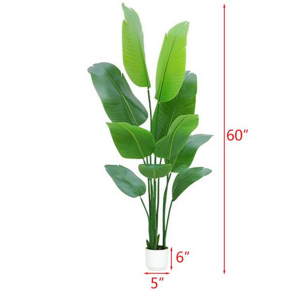indoor plant fertilizer NutriDense Organic Indoor Plant Food, 5.0oz – Mari's Gardens main image 1