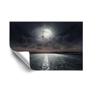 Moon Landscapes Removable Wall Mural