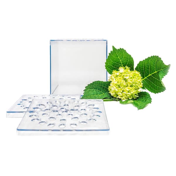 Flower Crazy Flower Arrangment Cube Design Floral Arrangement System