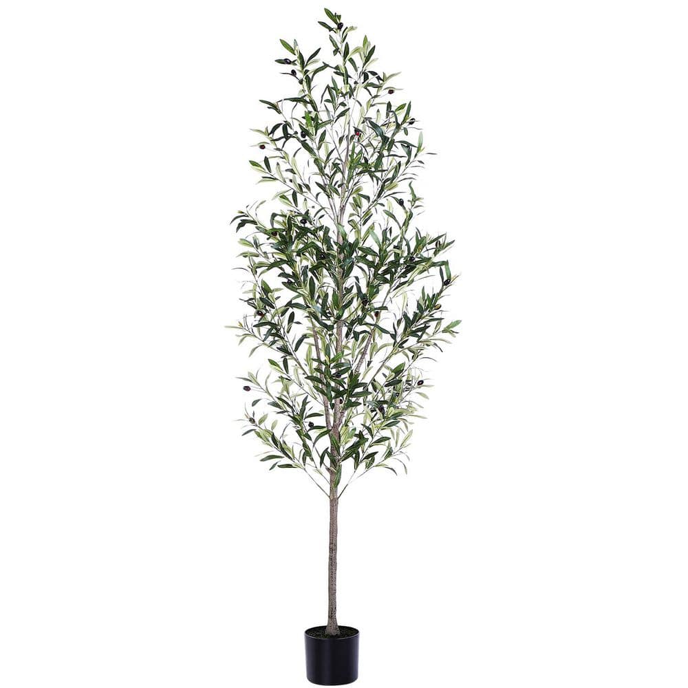 6 ft. Artificial Olive Tree with Realistic Trunk and Leaves, Indoor Faux Plant in Black Pot price history on PriceWatchPro