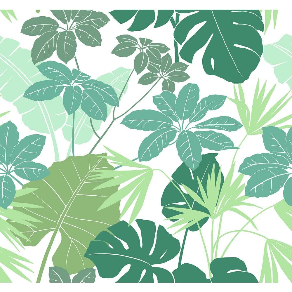 Medellin Green Rainforest Non-Woven Wallpaper Roll