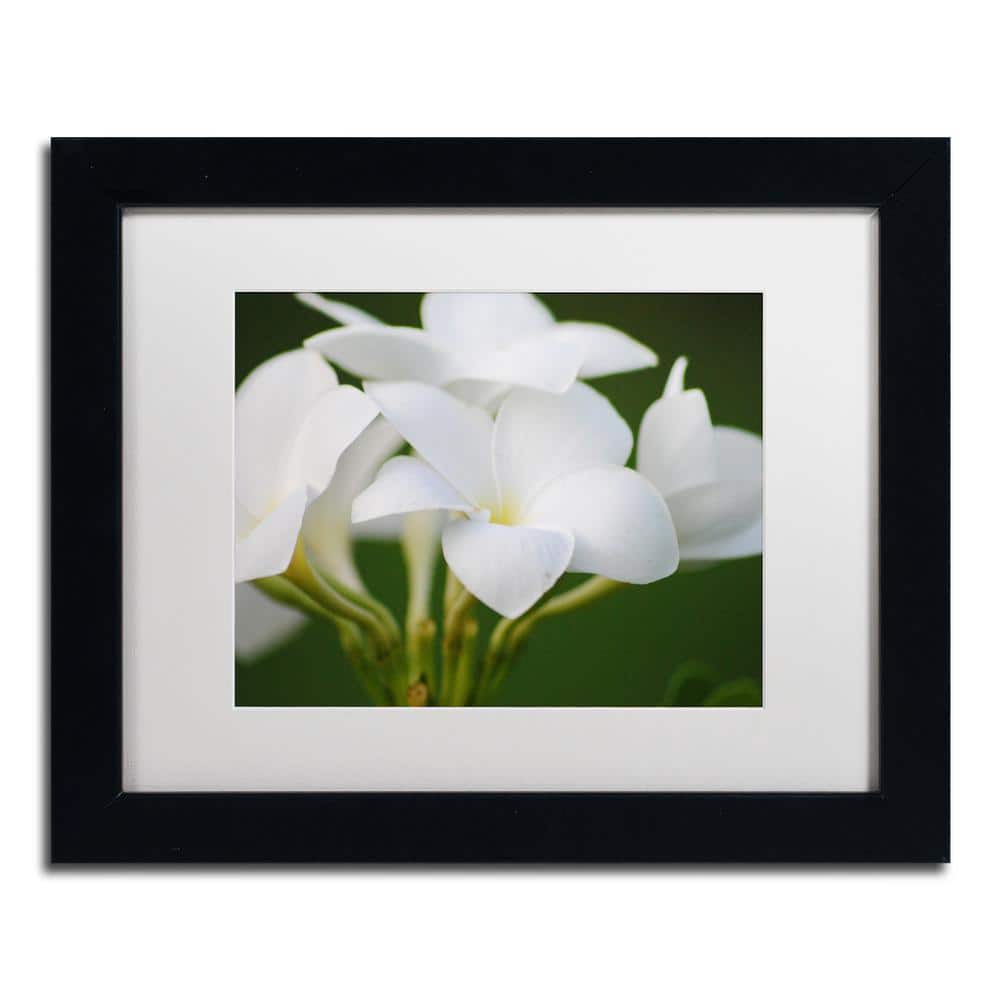 White Flower Giclee Print in Black Frame with White Mat