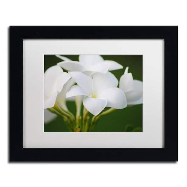 Trademark Fine Art Picture Perfect by Monica Mize Nature Wall Art 18 in. x 22 in.