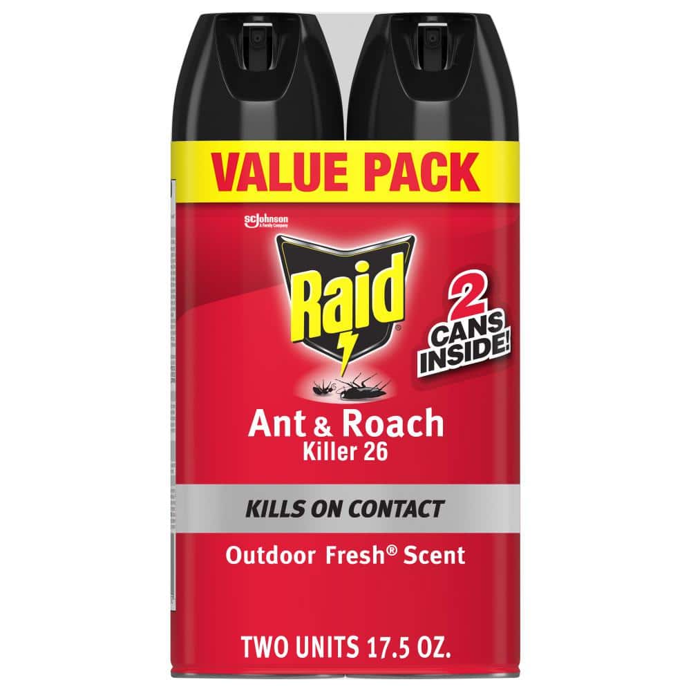Raid 40 oz. Outdoor Fresh Scent Ant and Roach Killer 26 (2-Pack) 668933 ...