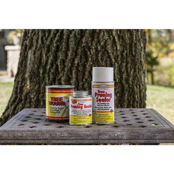 Tanglefoot 9 Oz Aerosol Tree Pruning Sealer 0462012 The Home Depot Tanglefoot 9 Oz Aerosol Tree Pruning Sealer 0462012 The Home Depot