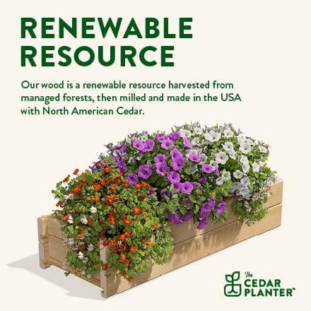 Eco-Friendly Cedar Rectangular Large Outdoor Planter Box, 32" x 11"