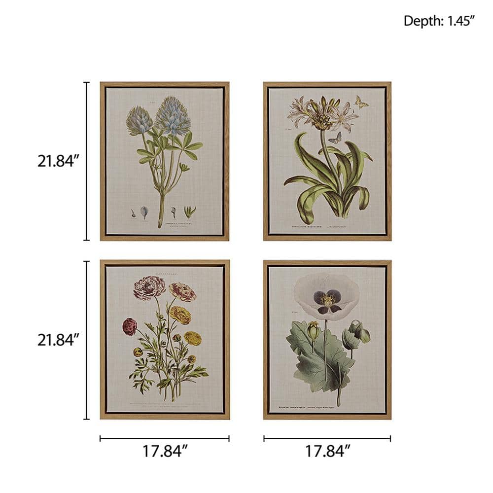 Herbal Botany 4-Piece Framed Canvas Wall Art Set with Botanical Illustrations
