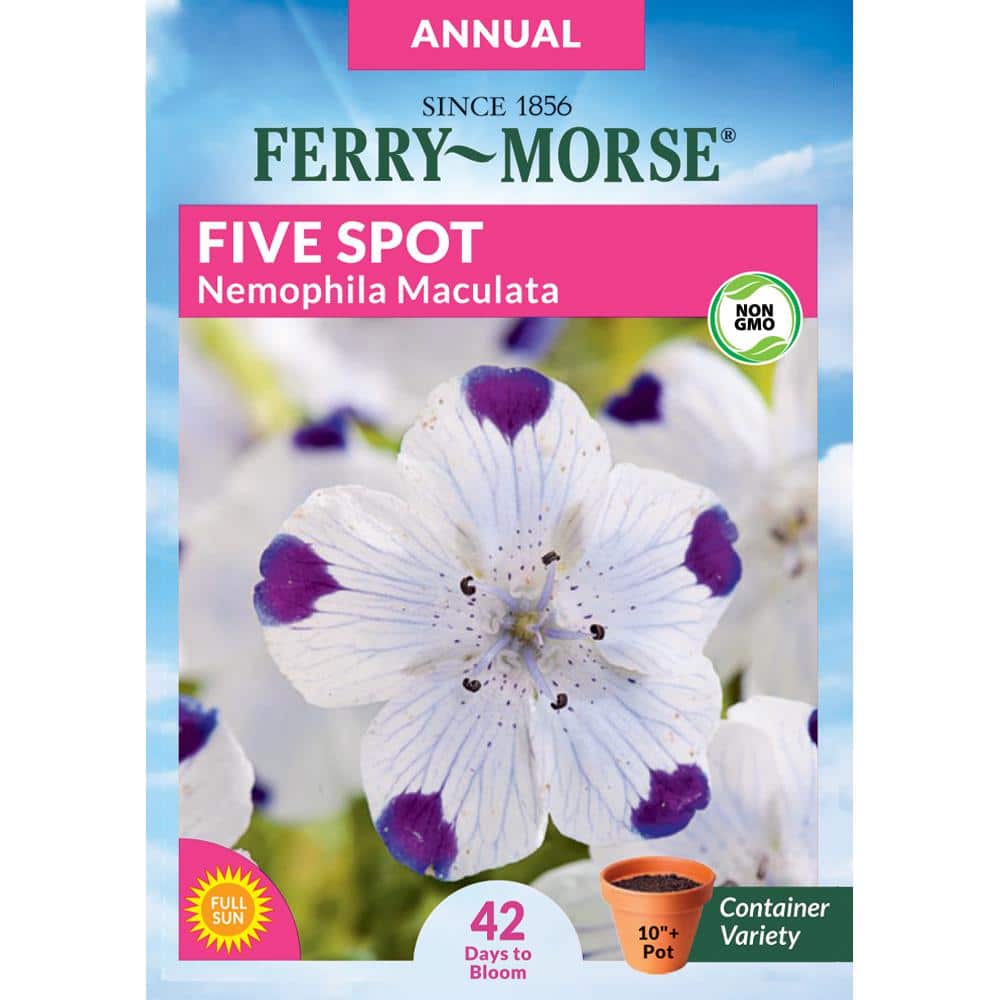Ferry-Morse Five Spot Nemophila Maculata Flower Seeds 1796 - The