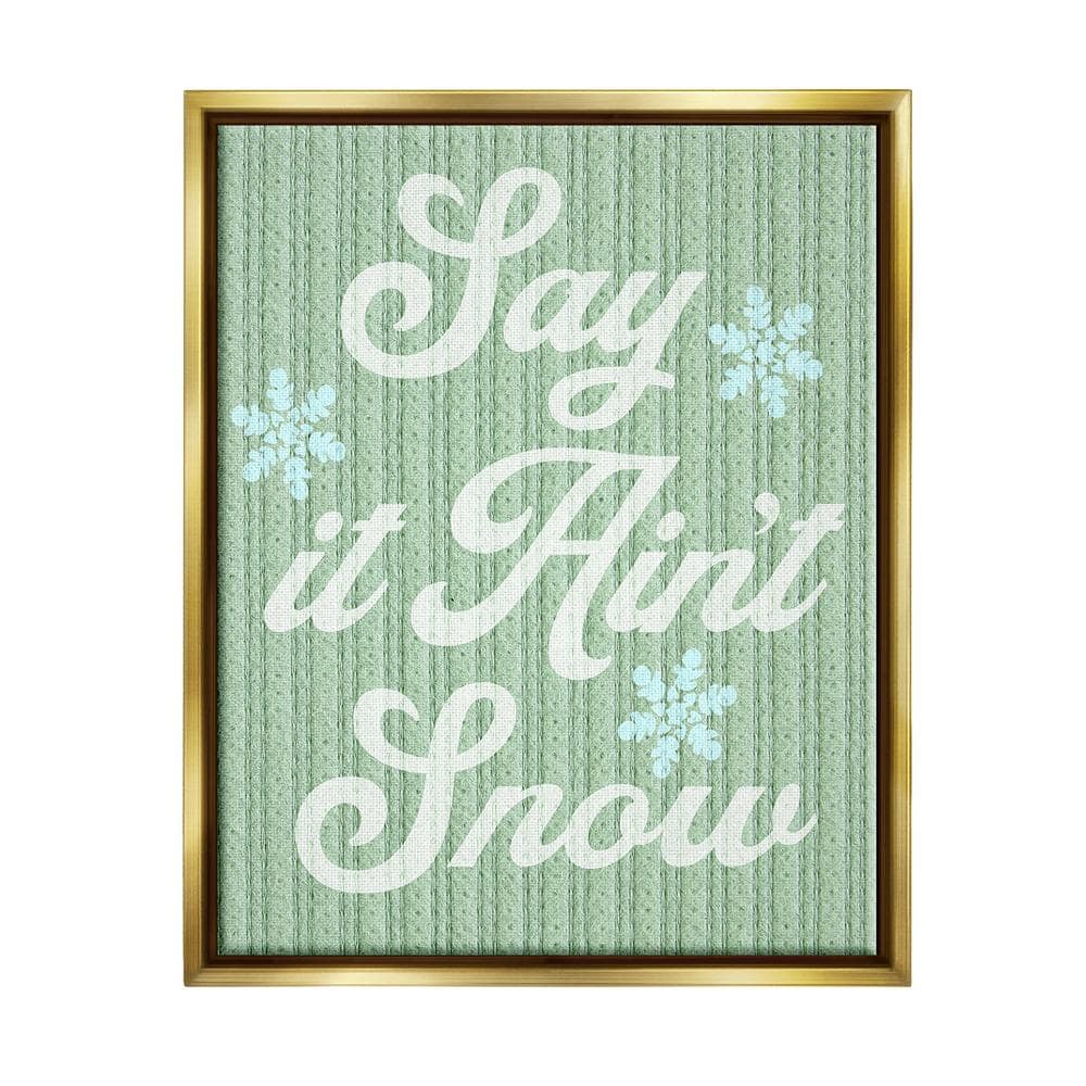 Green Say It Ain't Snow by Lil' Rue 1 Piece Floater Frame Graphic Print Typography Poster Art Print 21 in. x 17 in. price history on PriceWatchPro