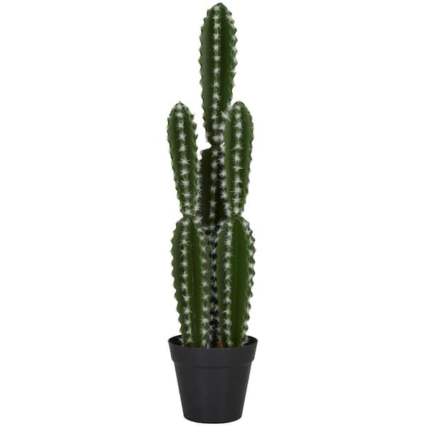 Cactus Mexicano de Tela Termoadhesiva 50x71mm