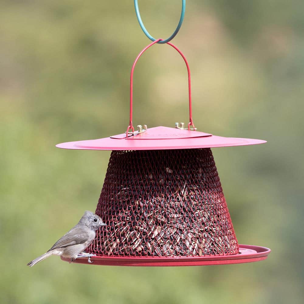 Red Metal Hanging Bird Feeder with Mesh Design