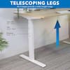 Mount-It! 55" Maple Dual Motor Electric Standing Desk