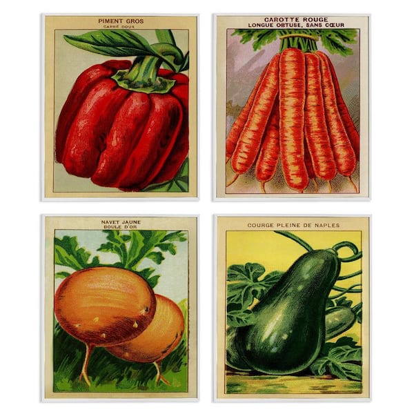 Rustic Garden Vegetables by Lil' Rue 4 Piece White Framed Food Giclee Art Print 20 in. x 16 in.